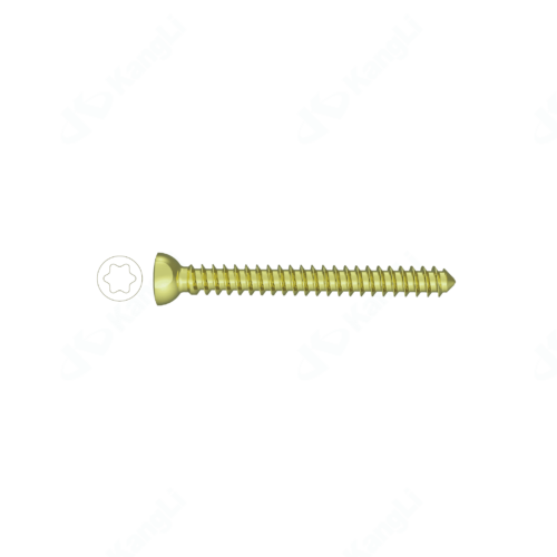 HA4.5 Metal Bone Fracture Screw (Anodized)