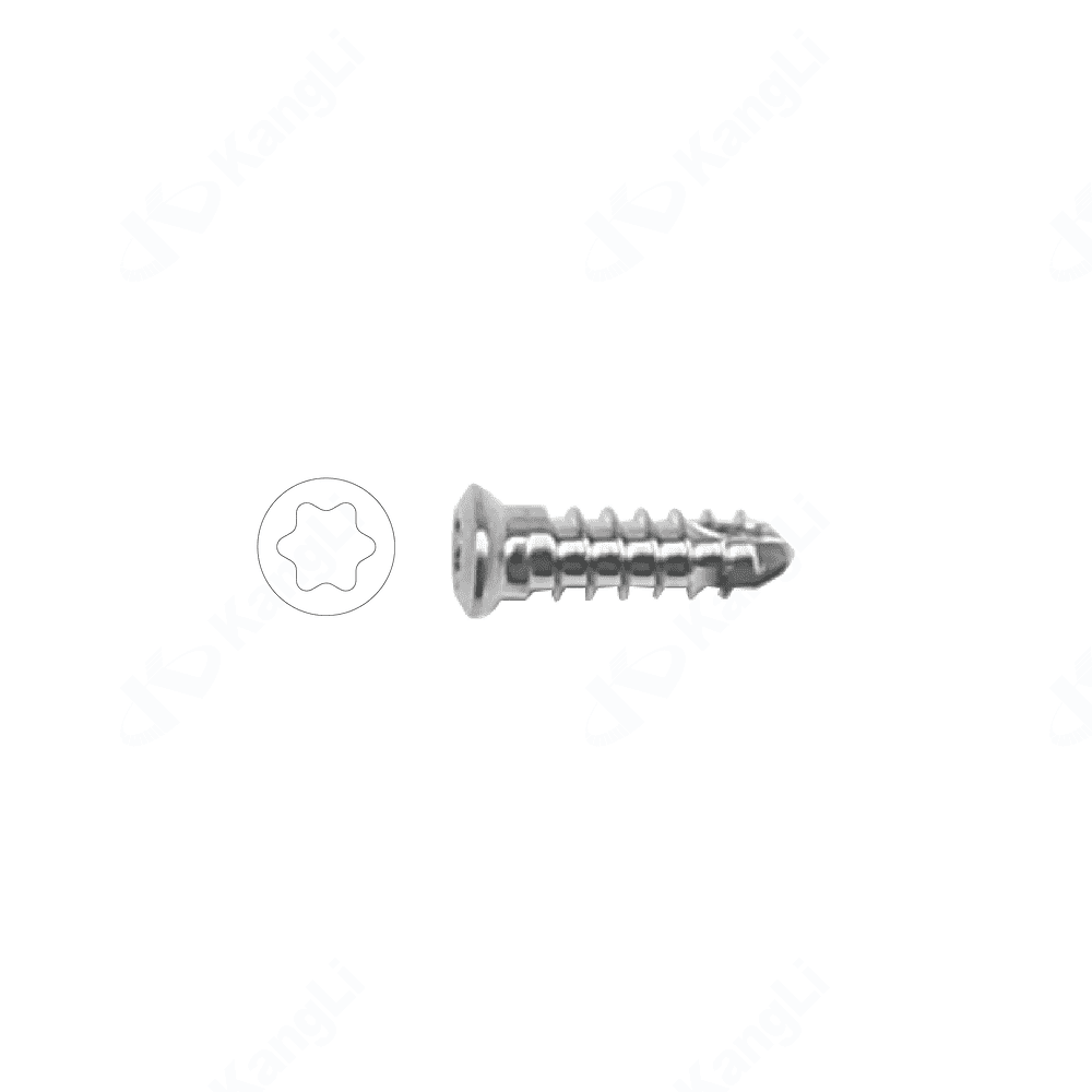 2.7 Metal Bone Fracture Screw (Torx Type)