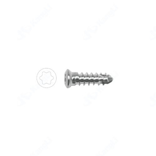 2.7 Metal Bone Fracture Screw (Torx Type)