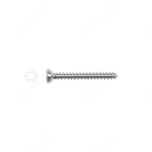 Metal Bone Fracture Screw (Torx Type) (HA4.5 Fully Threaded)