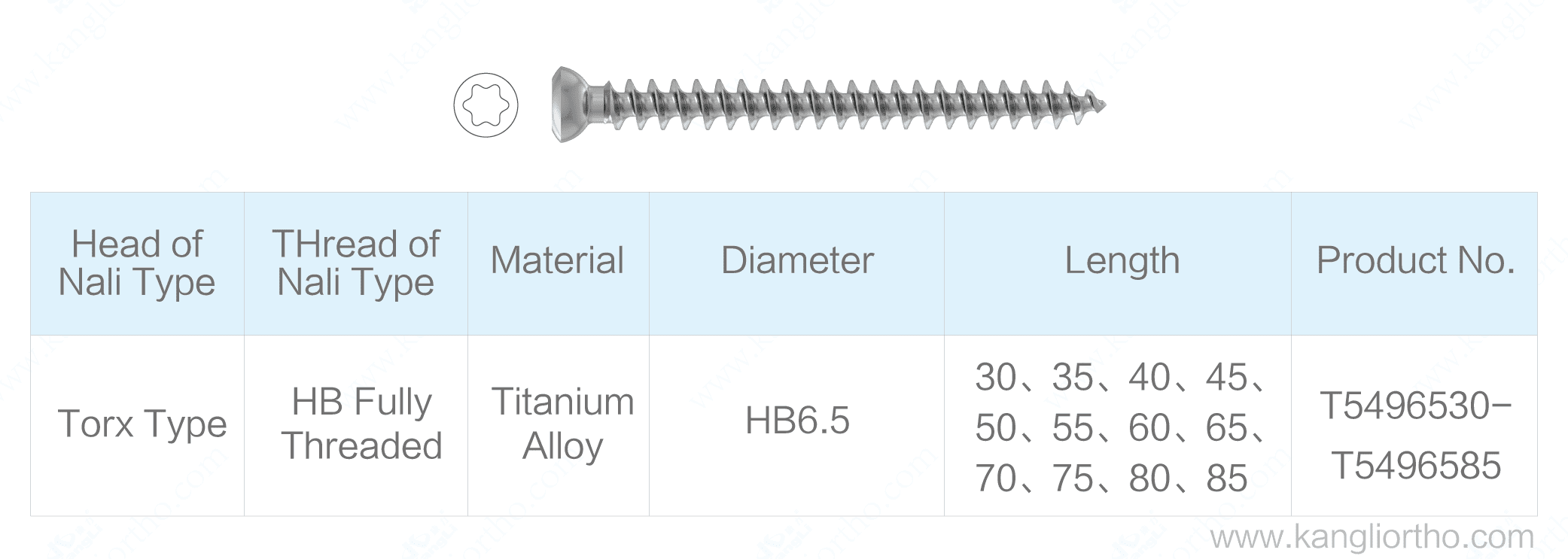 metal-bone-fracture-screw-torx-type-hb6-5-fully-threaded-specifications