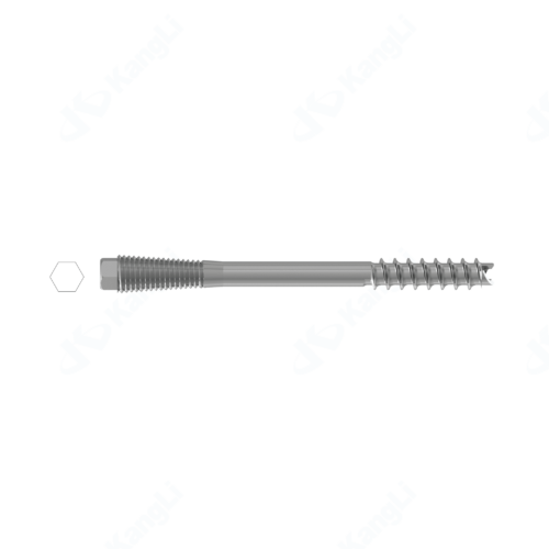Dual Ends Cannulated Compression Screw (Φ6.5)