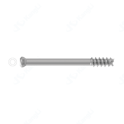 Femoral Neck Cannulated Compression Screw (Φ7.3)